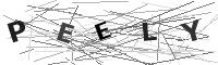 Please refresh your browser to see this image.